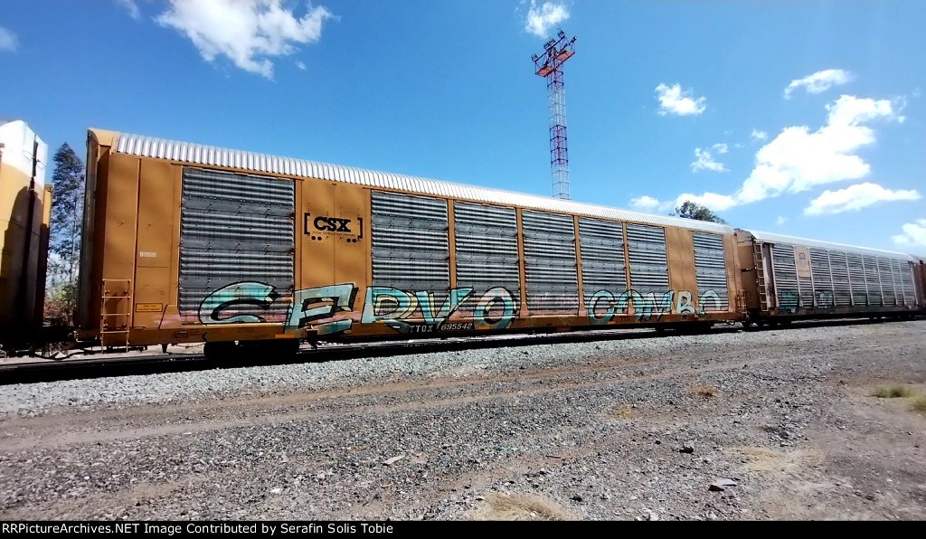 TTGX 695542 Rack CSX 